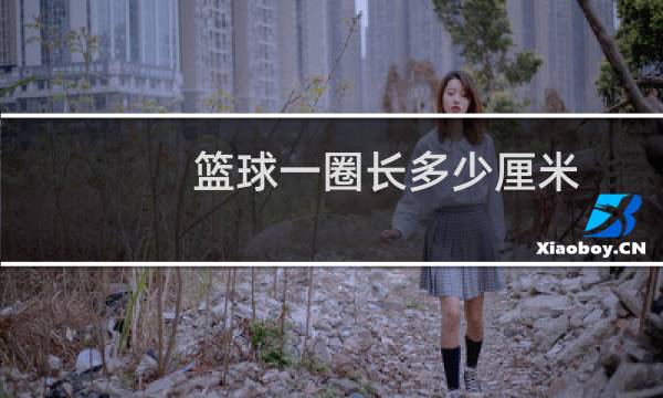 篮球一圈长多少厘米图片