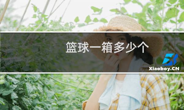 篮球一箱多少个图片