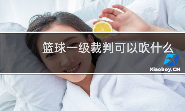 篮球一级裁判可以吹什么比赛图片