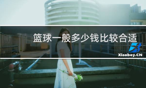 篮球一般多少钱比较合适图片