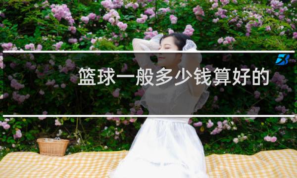 篮球一般多少钱算好的图片