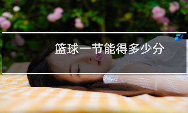 篮球一节能得多少分图片