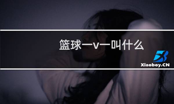 篮球一v一叫什么图片