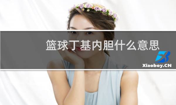 篮球丁基内胆什么意思图片
