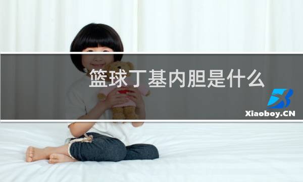 篮球丁基内胆是什么图片