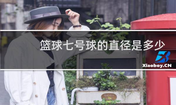 篮球七号球的直径是多少图片