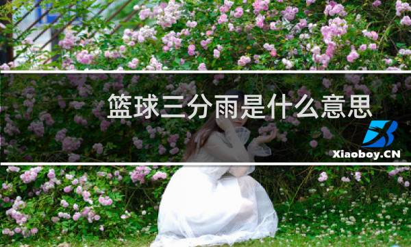 篮球三分雨是什么意思图片