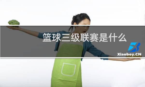 篮球三级联赛是什么图片