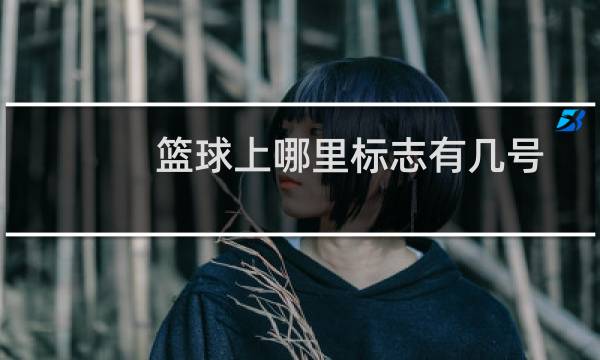 篮球上哪里标志有几号图片
