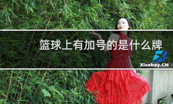 篮球上有加号的是什么牌子图片