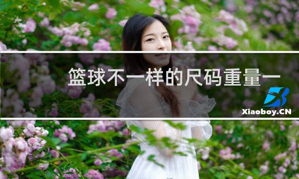 篮球不一样的尺码重量一样吗图片