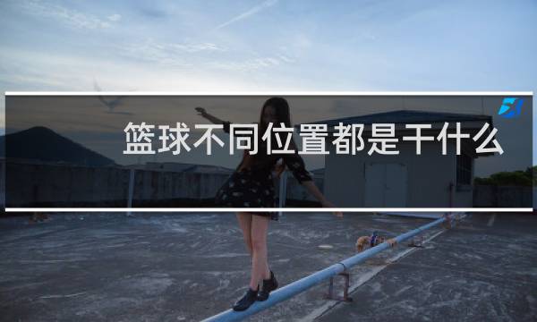 篮球不同位置都是干什么的图片