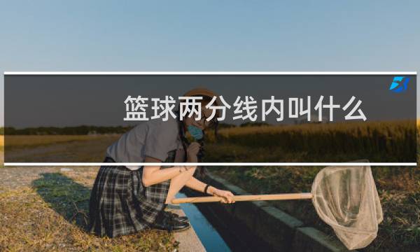 篮球两分线内叫什么图片