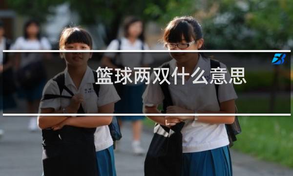 篮球两双什么意思图片
