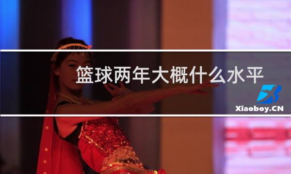 篮球两年大概什么水平图片