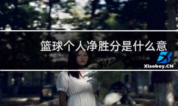 篮球个人净胜分是什么意思图片