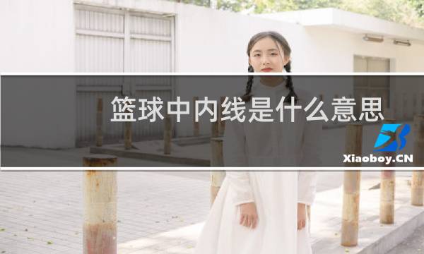 篮球中内线是什么意思图片