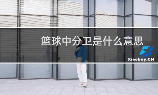 篮球中分卫是什么意思图片