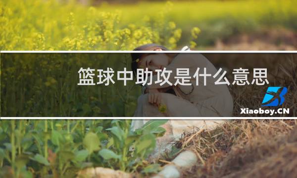 篮球中助攻是什么意思图片