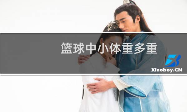 篮球中小体重多重图片