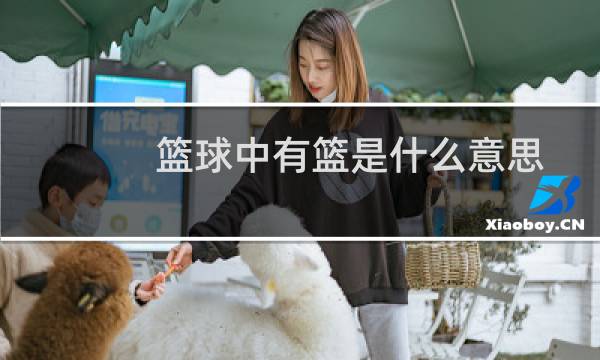 篮球中有篮是什么意思图片
