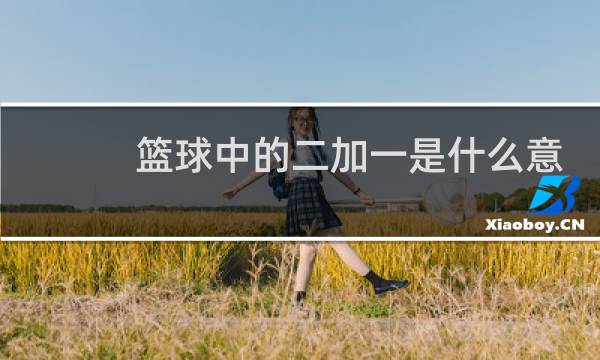 篮球中的二加一是什么意思图片