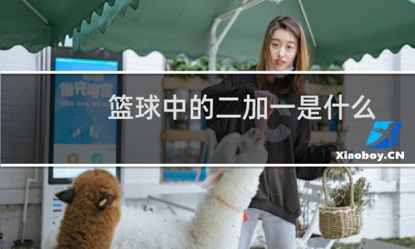 篮球中的二加一是什么图片