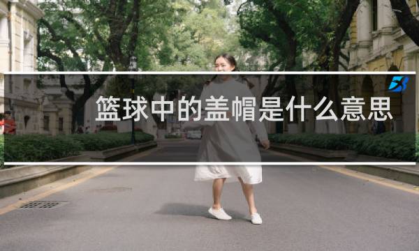 篮球中的盖帽是什么意思图片