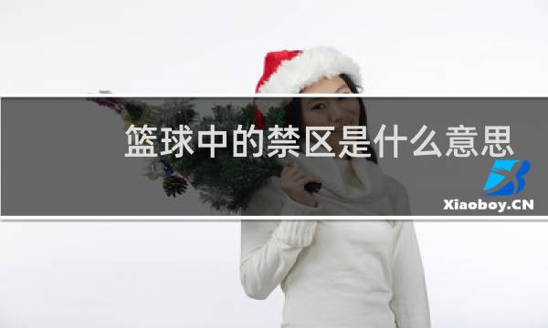 篮球中的禁区是什么意思图片