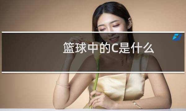 篮球中的C是什么图片