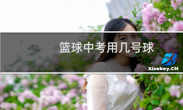 篮球中考用几号球图片