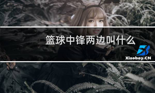 篮球中锋两边叫什么图片
