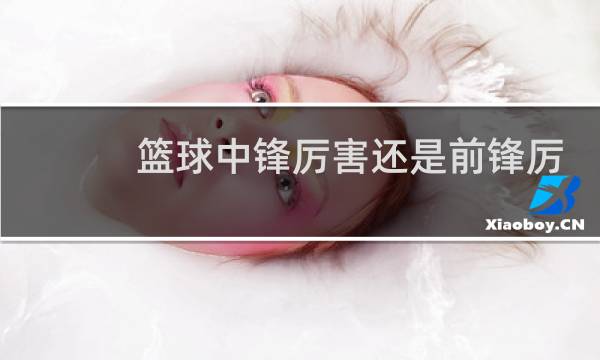 篮球中锋厉害还是前锋厉害图片