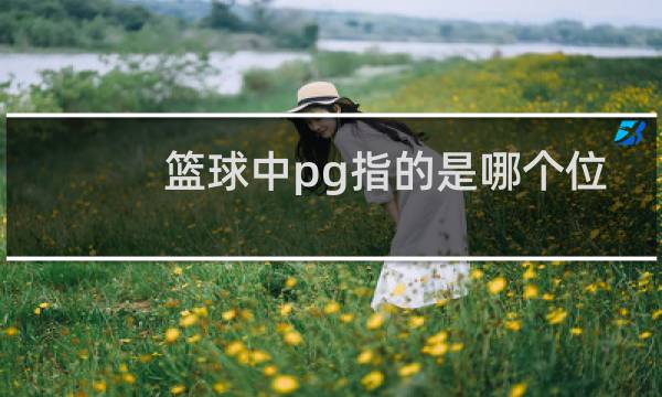 篮球中pg指的是哪个位置图片