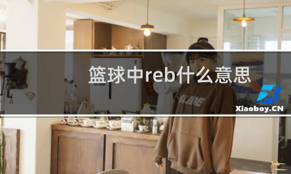 篮球中reb什么意思图片
