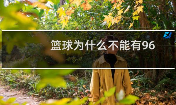 篮球为什么不能有96图片