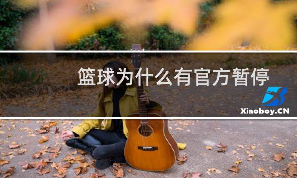 篮球为什么有官方暂停图片