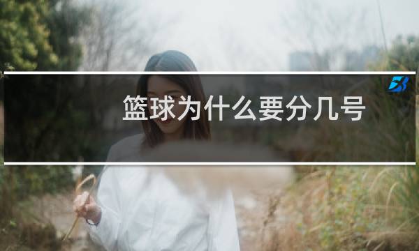 篮球为什么要分几号图片