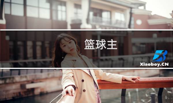 篮球主-5.5什么意思图片