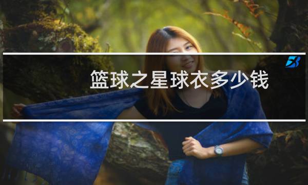 篮球之星球衣多少钱图片