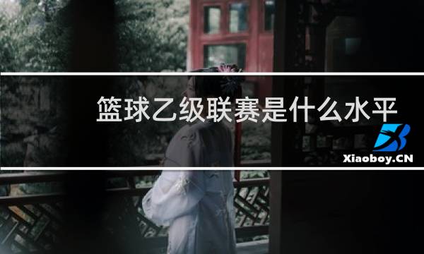 篮球乙级联赛是什么水平图片