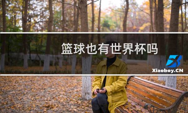 篮球也有世界杯吗图片