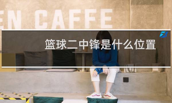 篮球二中锋是什么位置图片