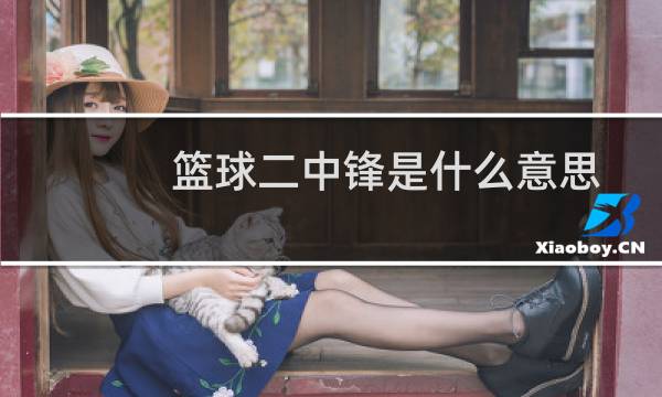 篮球二中锋是什么意思图片