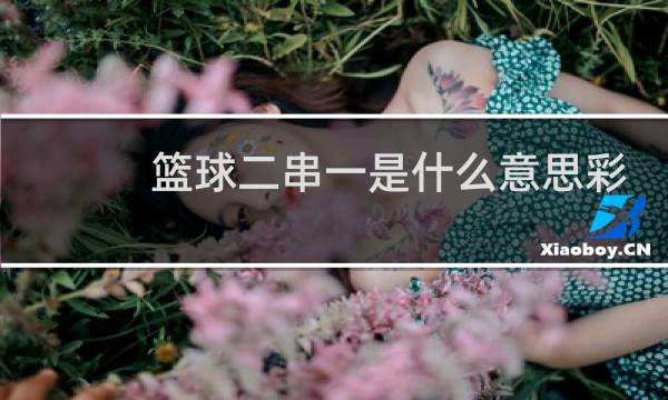 篮球二串一是什么意思彩票图片