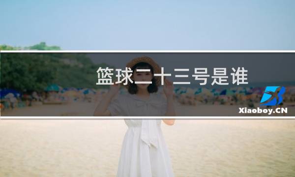 篮球二十三号是谁图片