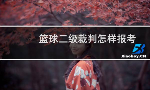 篮球二级裁判怎样报考图片