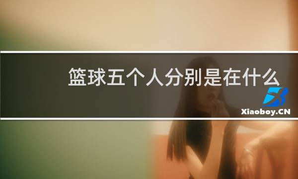 篮球五个人分别是在什么位置图片