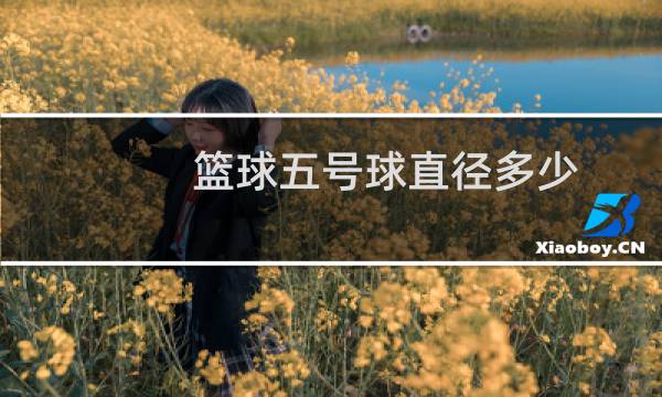 篮球五号球直径多少图片