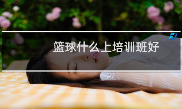篮球什么上培训班好图片